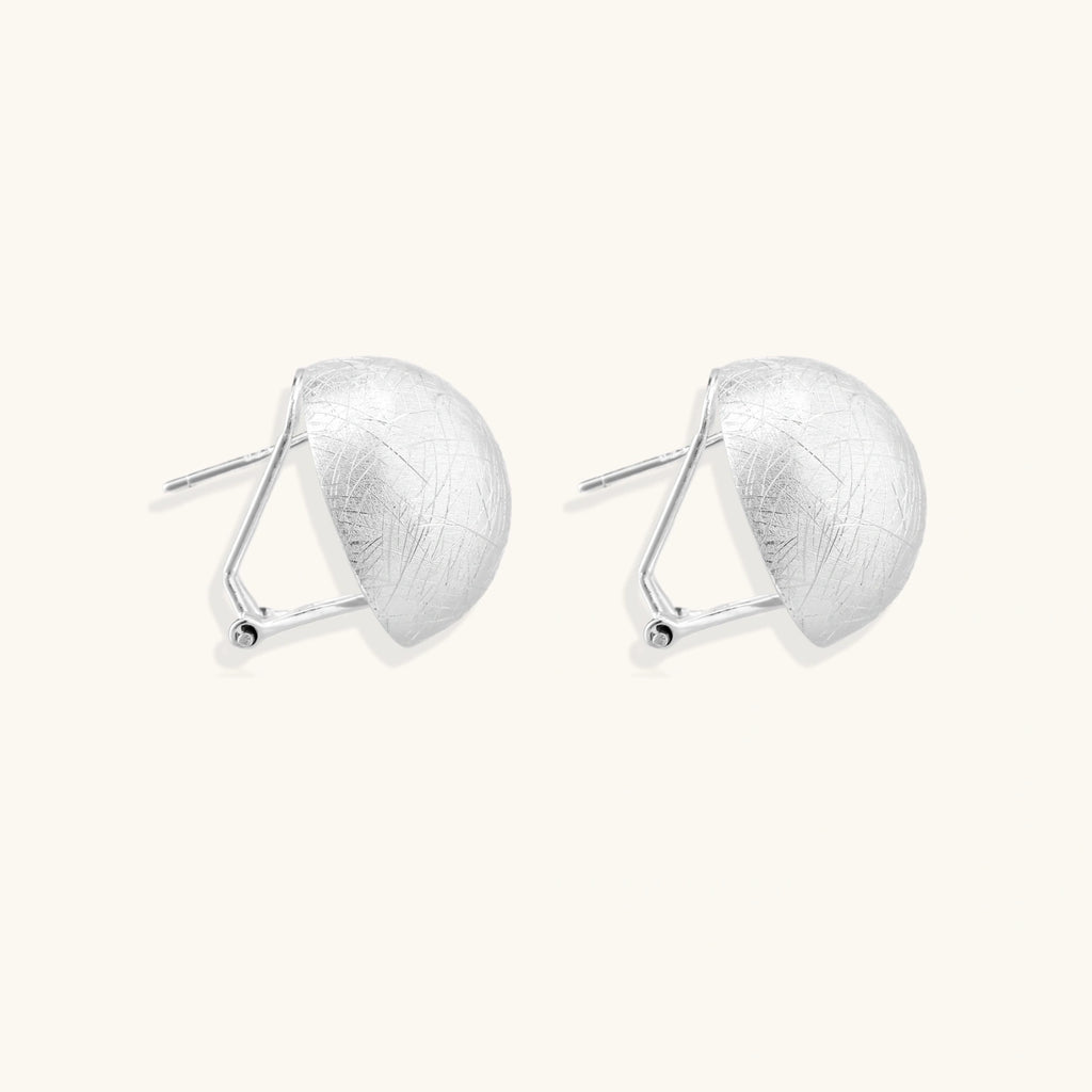 Pair of silver earrings on a white background