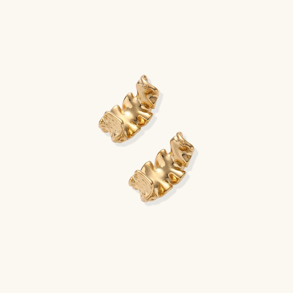 Pair of gold earrings on a white background
