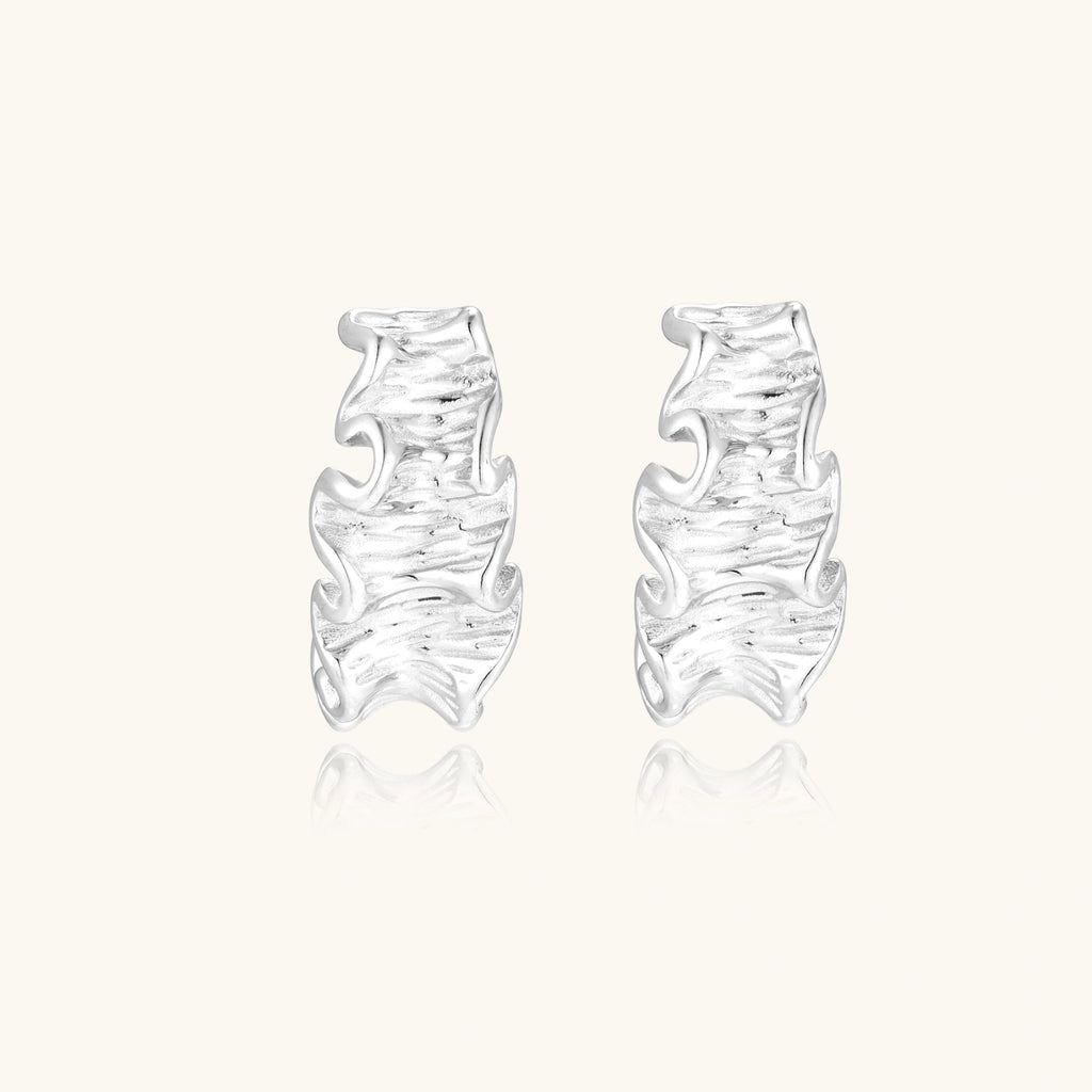 Pair of silver earrings on a white background