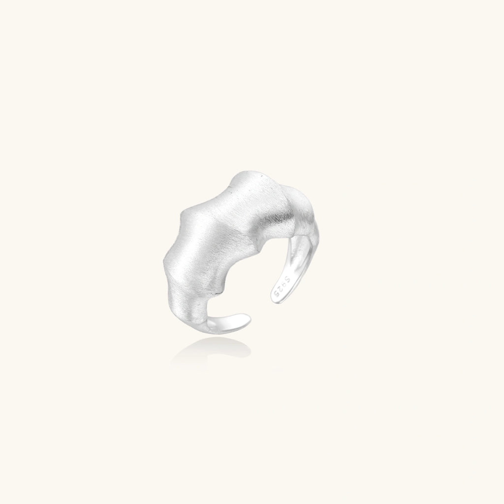 Silver ring on a white background