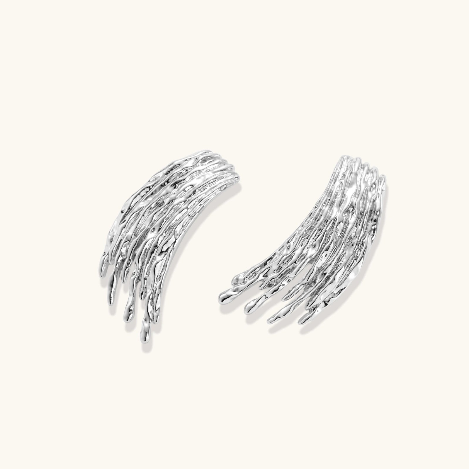 Pair of silver earrings on a white background